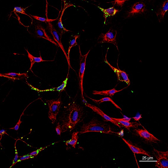 foto Not&iacute;cia São José dos Campos